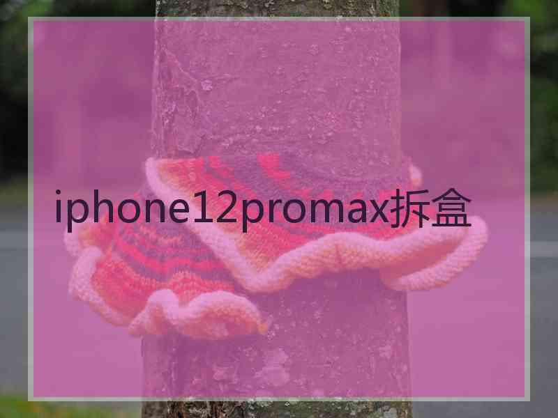 iphone12promax拆盒