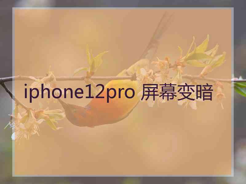 iphone12pro 屏幕变暗