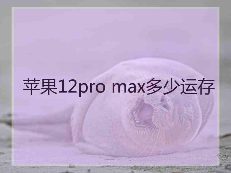 苹果12pro max多少运存