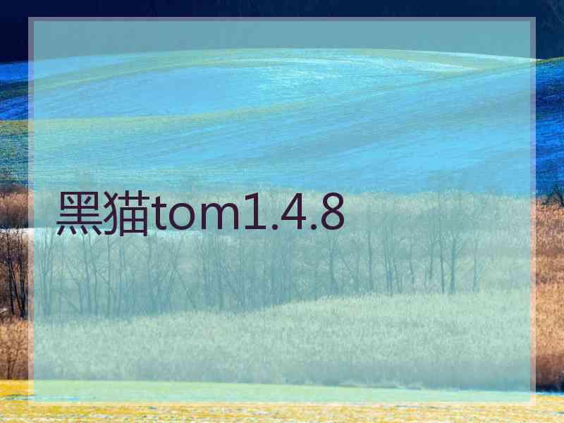 黑猫tom1.4.8