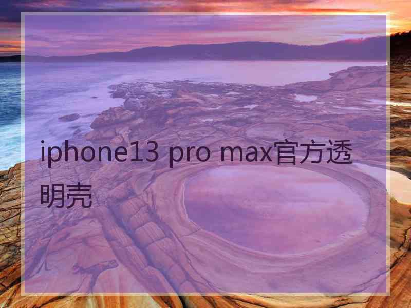 iphone13 pro max官方透明壳