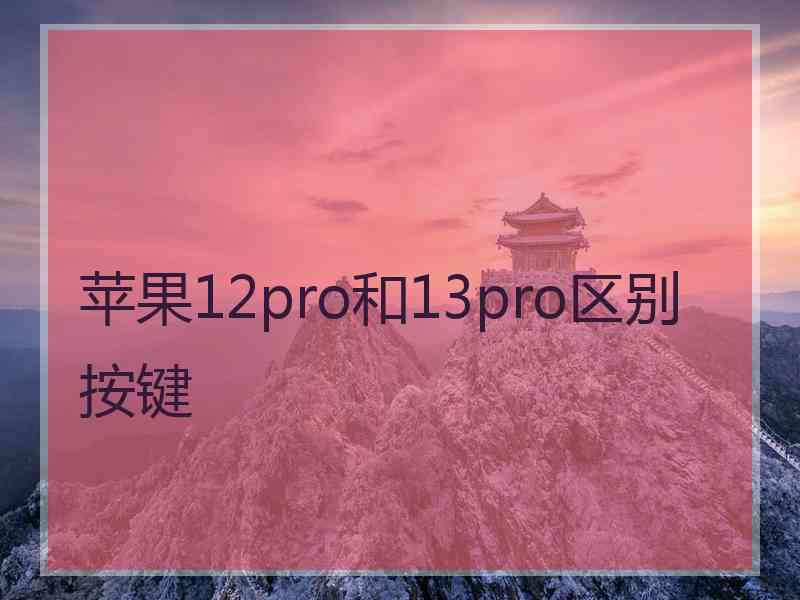 苹果12pro和13pro区别按键