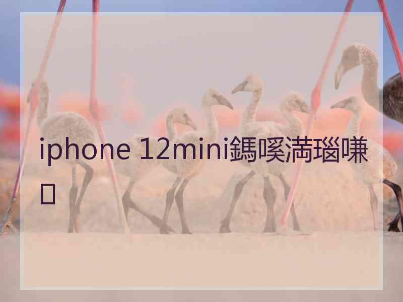 iphone 12mini鎷嗘満瑙嗛