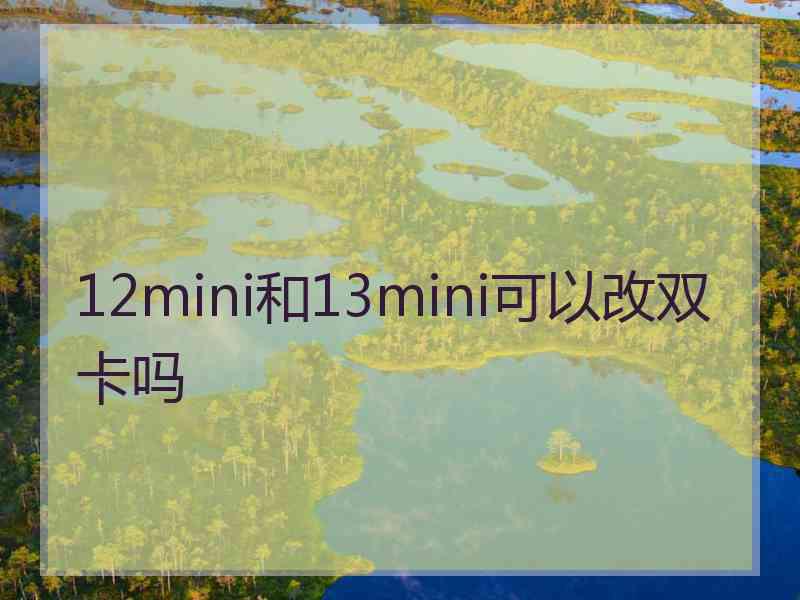 12mini和13mini可以改双卡吗