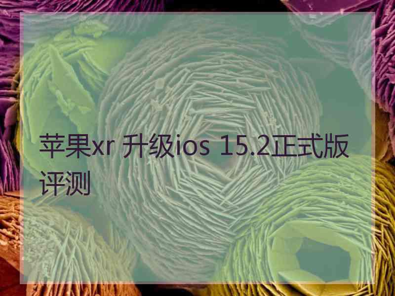 苹果xr 升级ios 15.2正式版评测