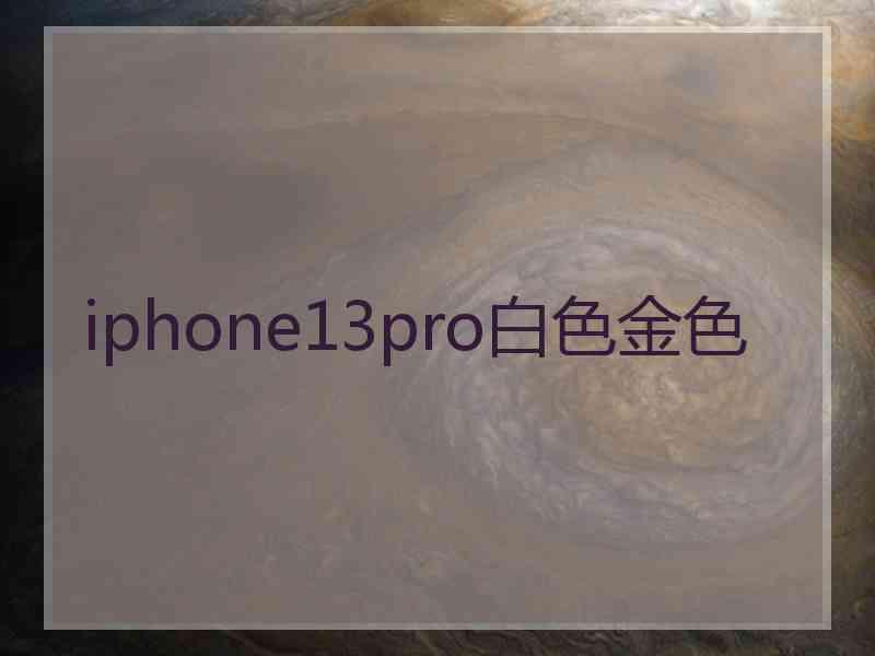 iphone13pro白色金色