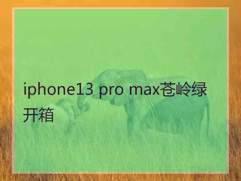 iphone13 pro max苍岭绿开箱