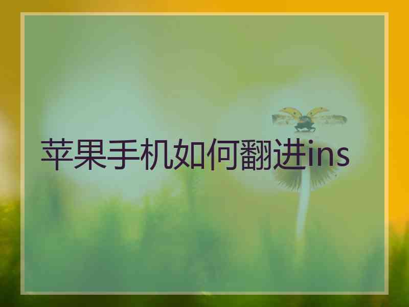 苹果手机如何翻进ins