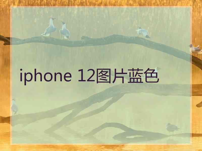 iphone 12图片蓝色