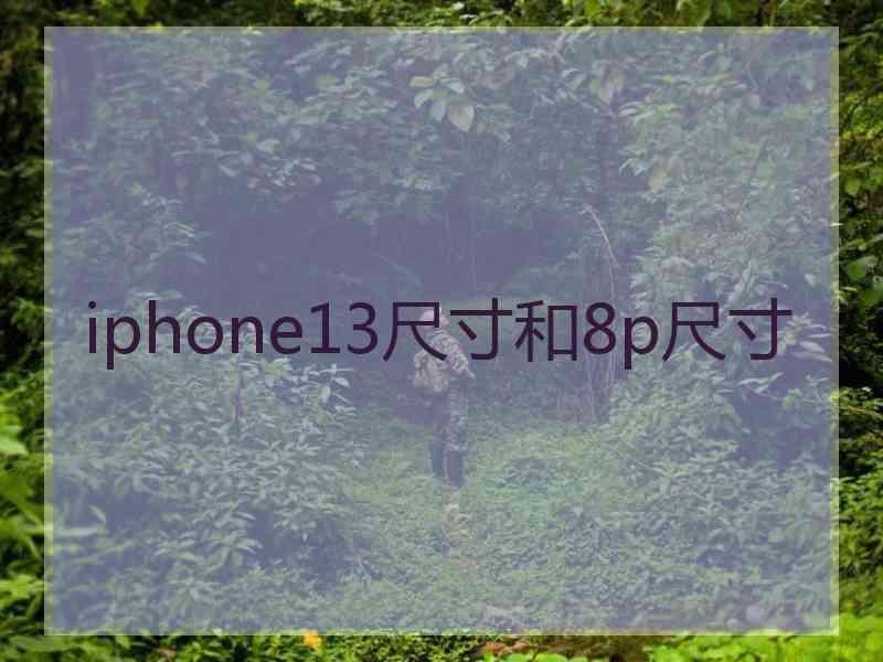 iphone13尺寸和8p尺寸