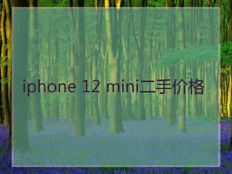 iphone 12 mini二手价格