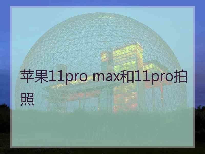 苹果11pro max和11pro拍照