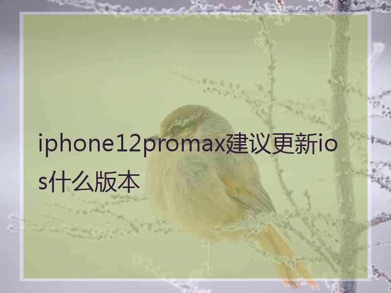 iphone12promax建议更新ios什么版本