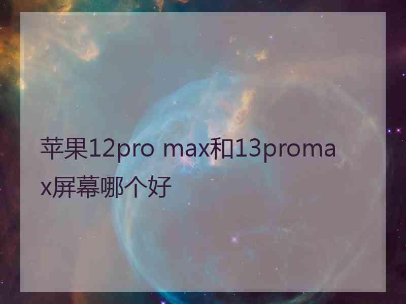 苹果12pro max和13promax屏幕哪个好