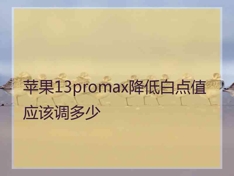 苹果13promax降低白点值应该调多少