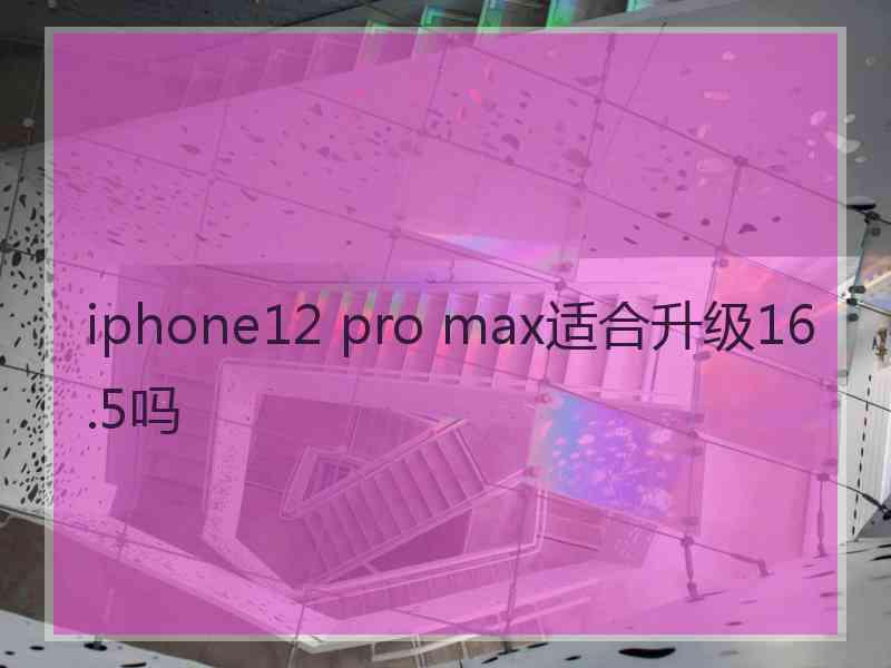 iphone12 pro max适合升级16.5吗