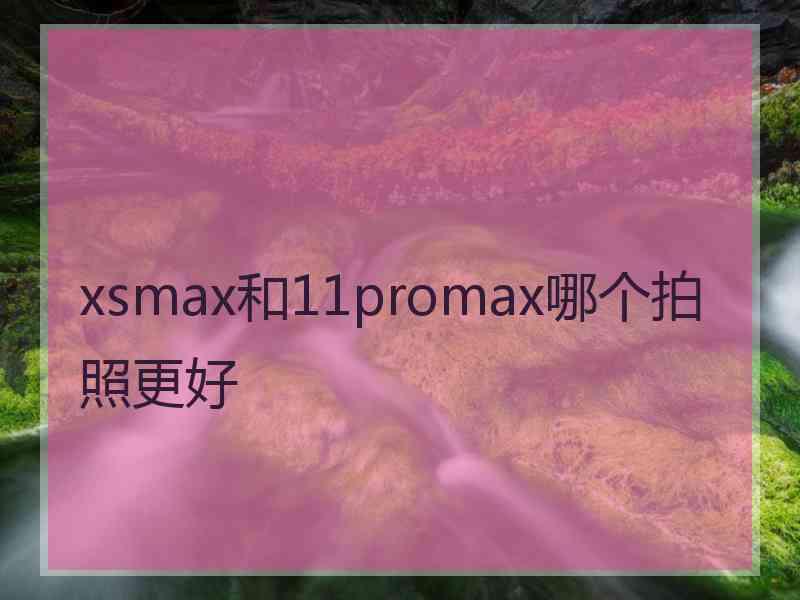 xsmax和11promax哪个拍照更好