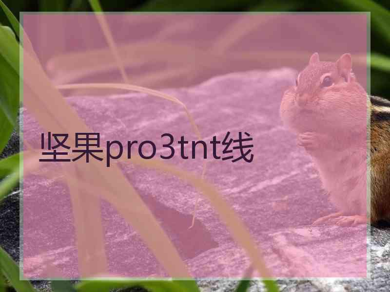 坚果pro3tnt线