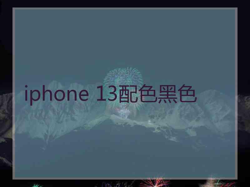 iphone 13配色黑色