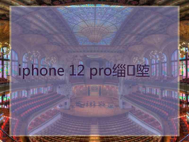 iphone 12 pro缁埅