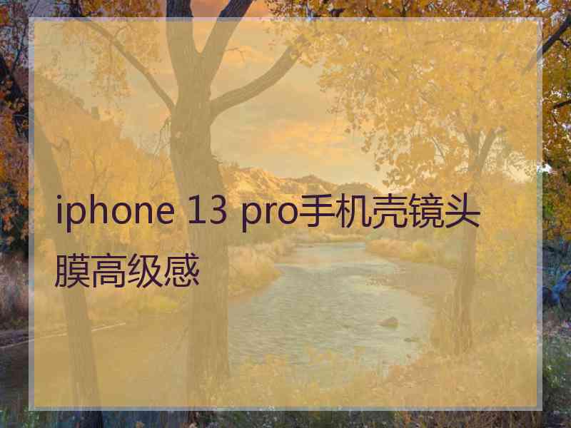 iphone 13 pro手机壳镜头膜高级感