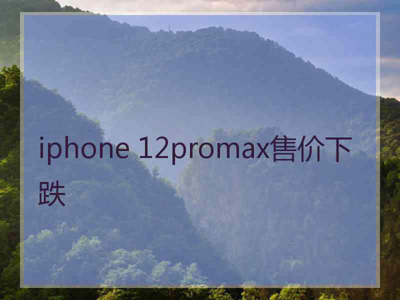 iphone 12promax售价下跌