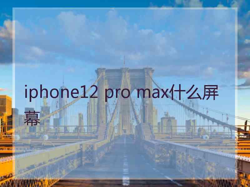 iphone12 pro max什么屏幕