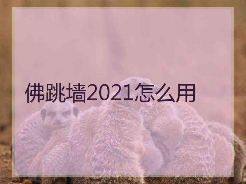 佛跳墙2021怎么用