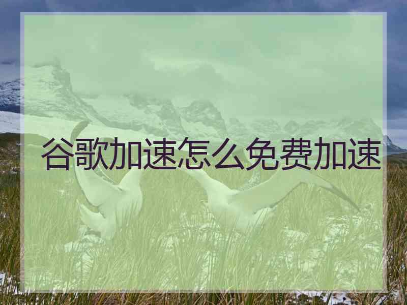 谷歌加速怎么免费加速