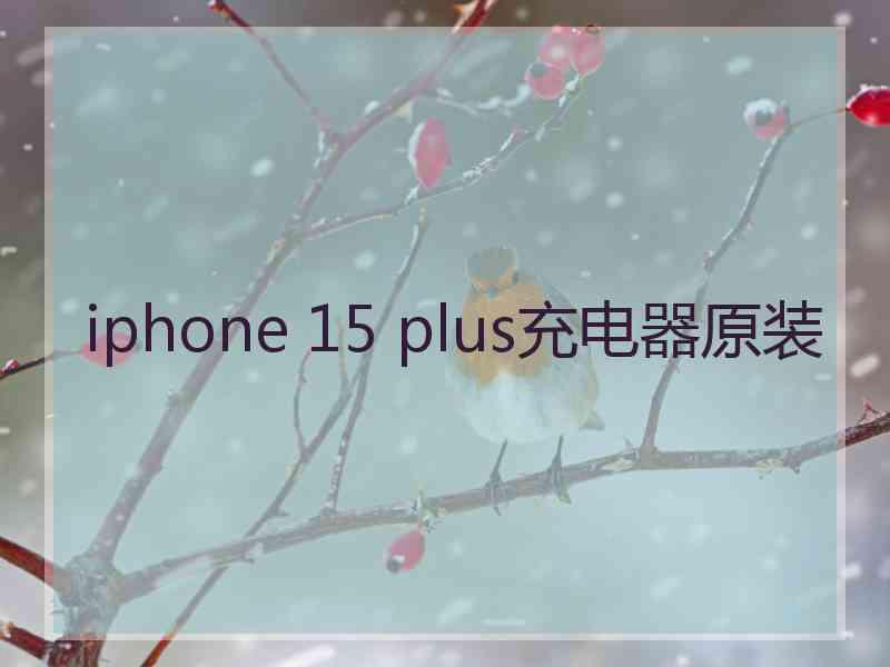 iphone 15 plus充电器原装