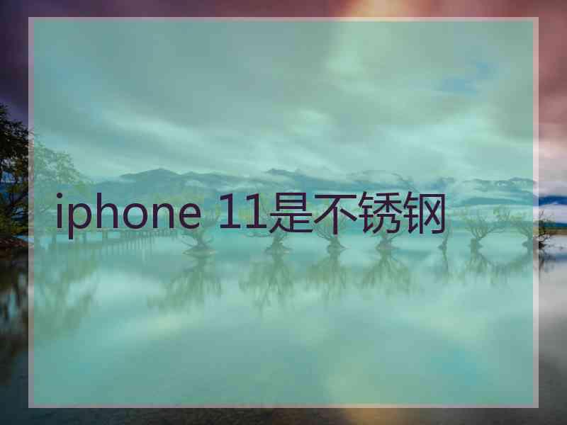 iphone 11是不锈钢