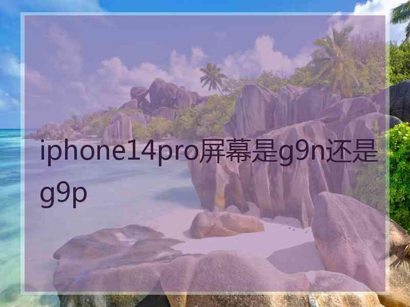 iphone14pro屏幕是g9n还是g9p