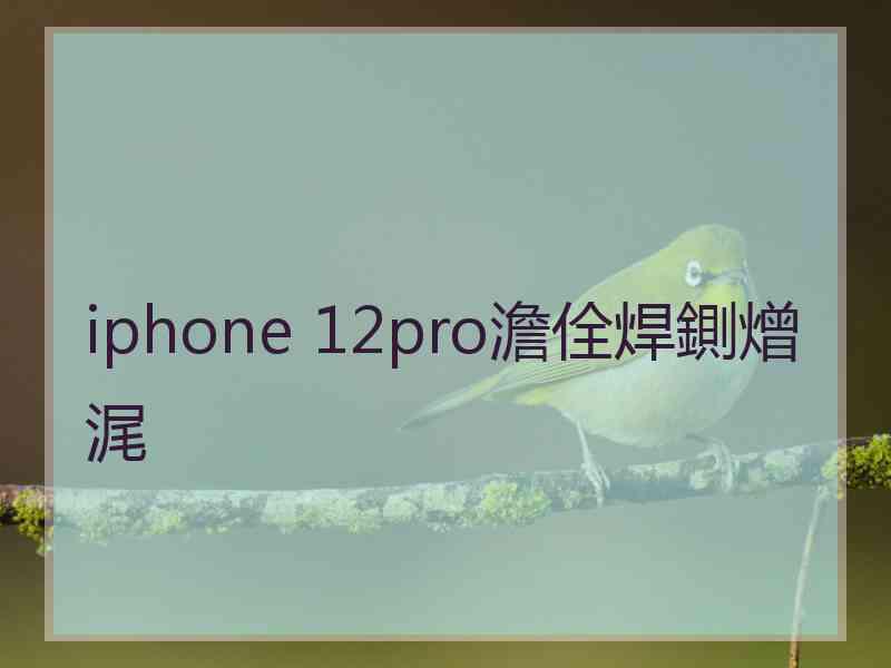 iphone 12pro澹佺焊鍘熷浘