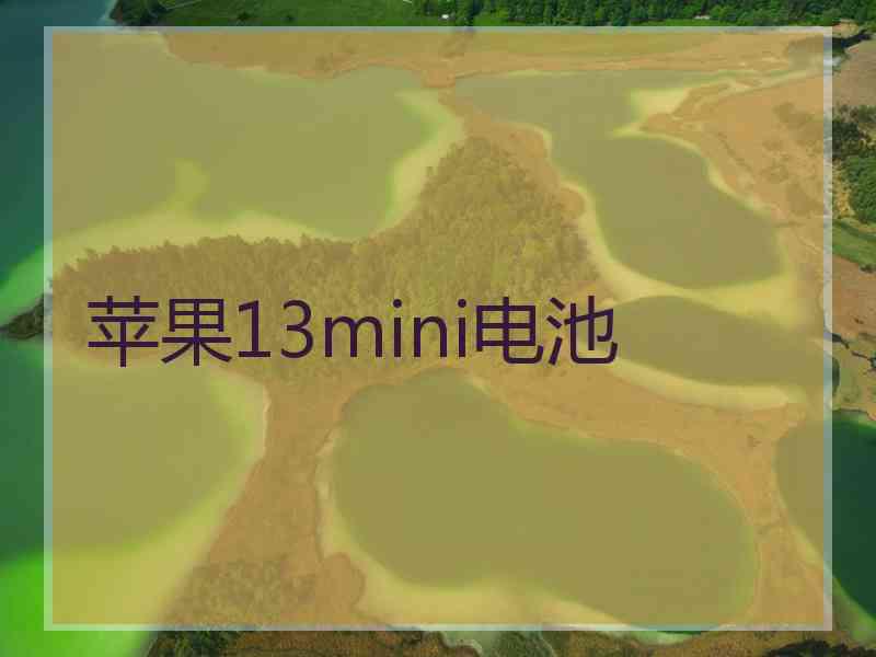 苹果13mini电池