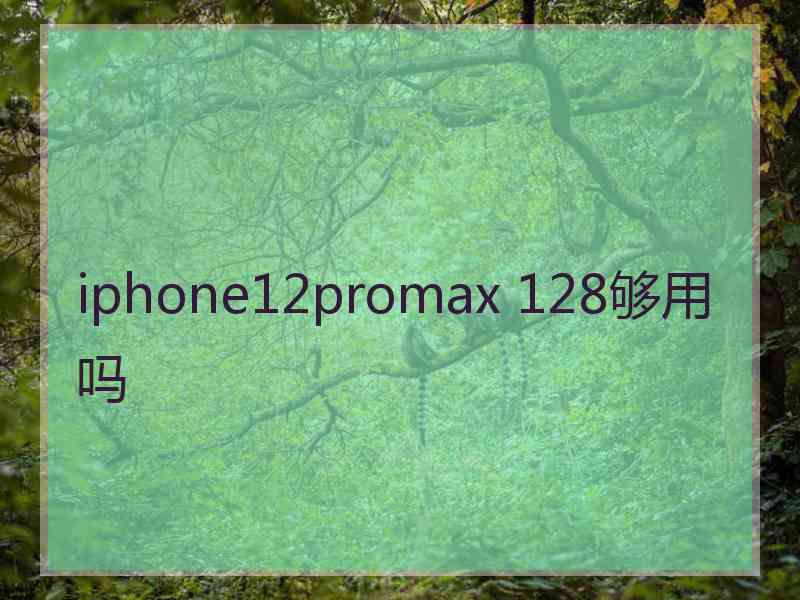 iphone12promax 128够用吗