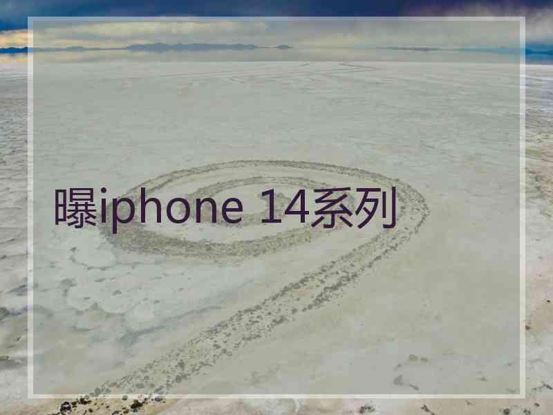 曝iphone 14系列