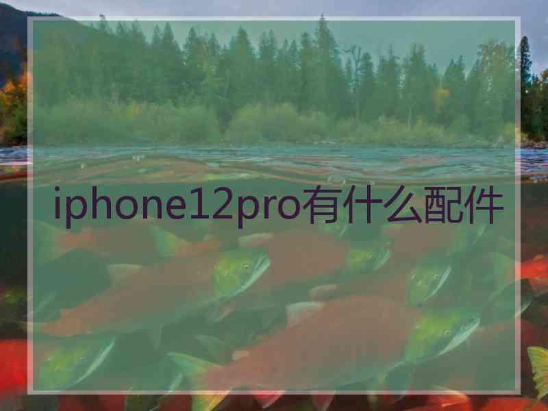 iphone12pro有什么配件