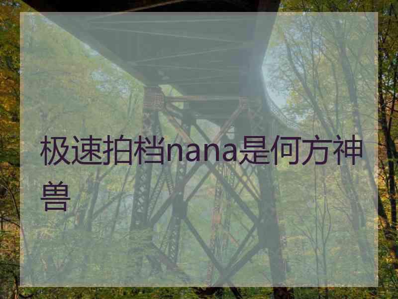 极速拍档nana是何方神兽