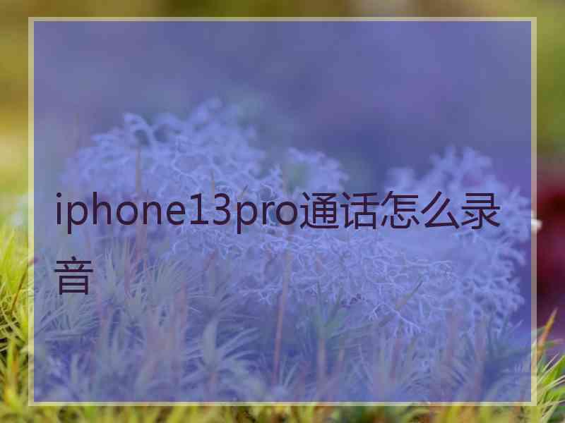 iphone13pro通话怎么录音