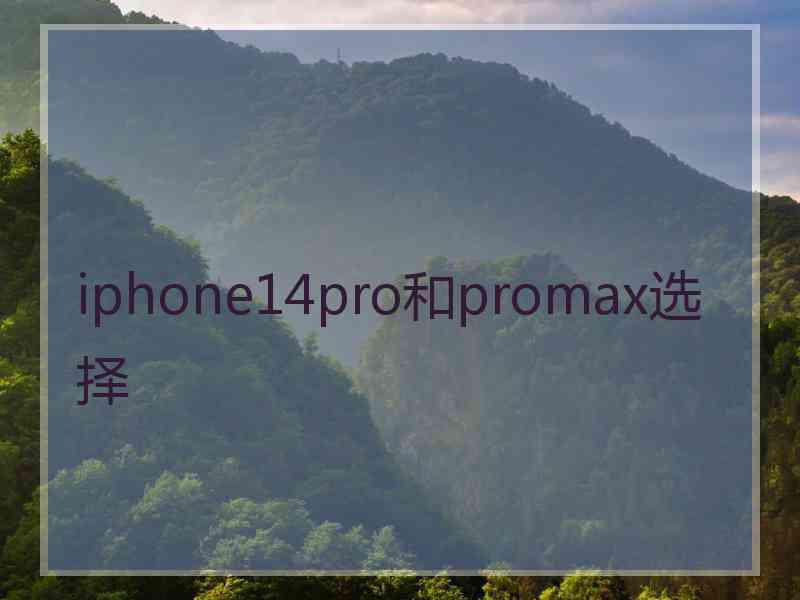 iphone14pro和promax选择