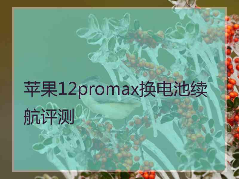 苹果12promax换电池续航评测