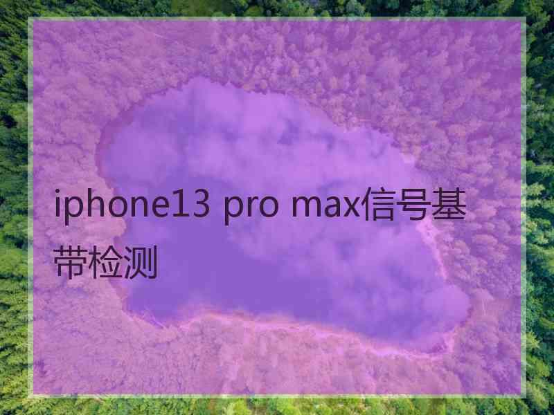 iphone13 pro max信号基带检测