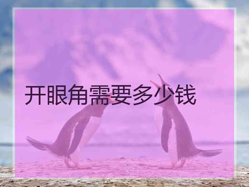 开眼角需要多少钱