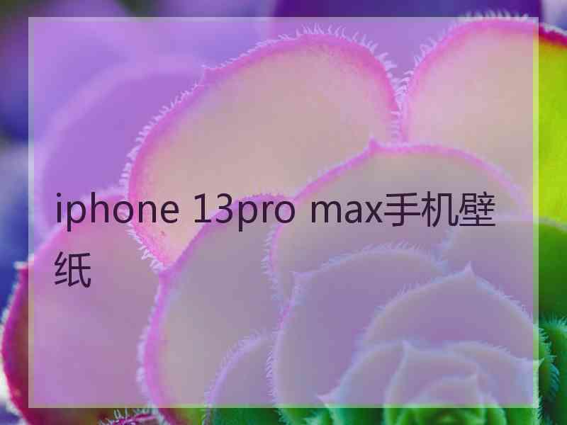 iphone 13pro max手机壁纸