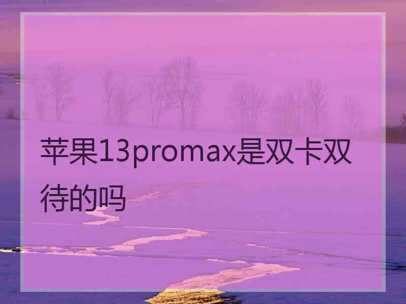 苹果13promax是双卡双待的吗