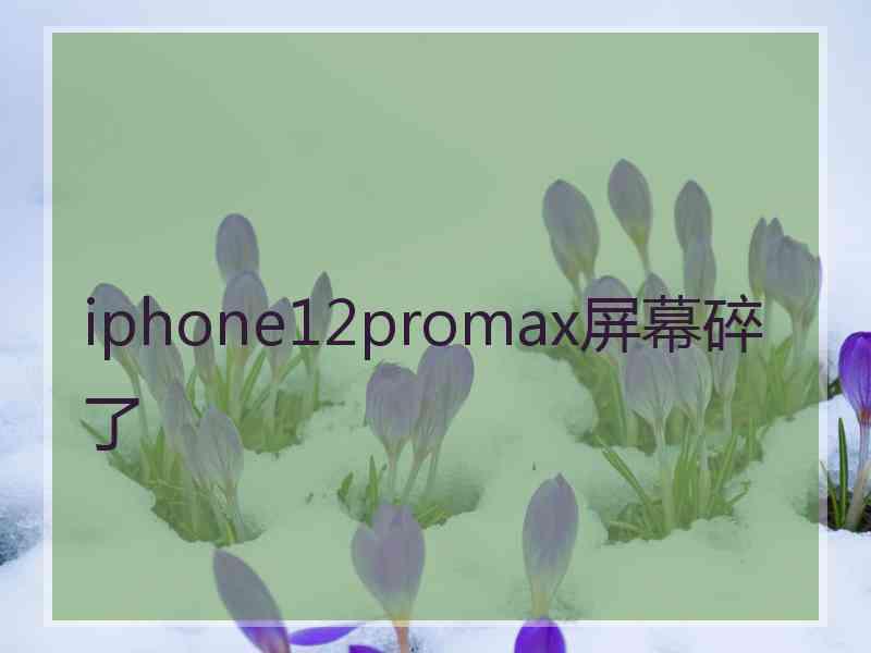 iphone12promax屏幕碎了