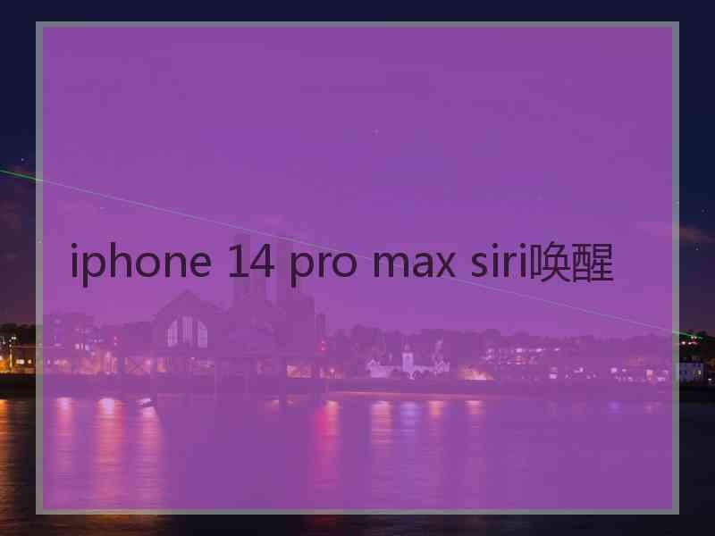 iphone 14 pro max siri唤醒