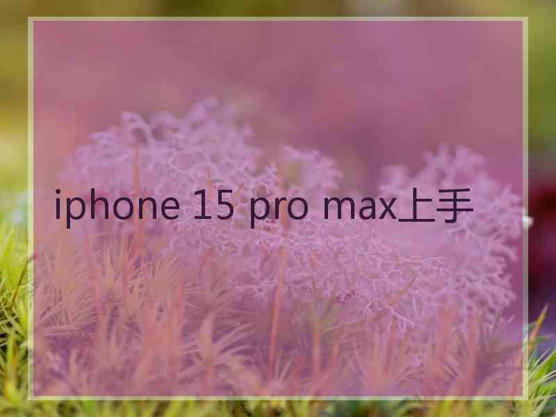 iphone 15 pro max上手