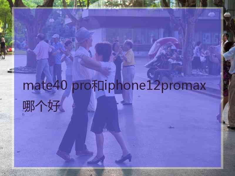 mate40 pro和iphone12promax哪个好