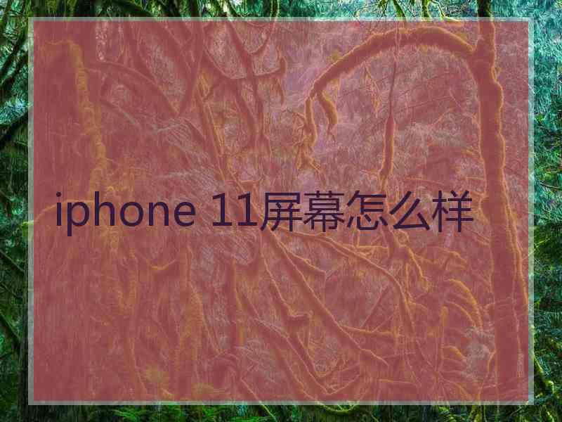 iphone 11屏幕怎么样